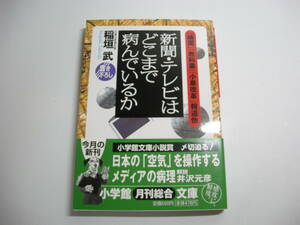 新聞・テレビはどこまで病んでいるか: 靖国教科書小泉改革報道他 (小学館文庫 R い- 23-1) 文庫 稲垣 武 (著)