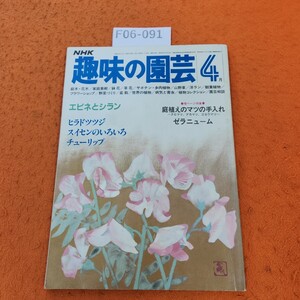 F06-091 NHK 趣味の園芸 4 エビネとシラン ヒラドツツジ スイセンのいろいろ チューリップ 昭和57年4/1発行