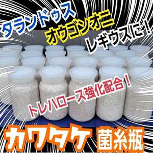 極上！カワラタケ菌糸瓶【20本】　タランドゥス・レギウス・オウゴンオニクワガタに抜群！トレハロース・キトサン強化配合！　デカクなる！