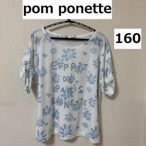 ポンポネット 女の子 子供服 半袖 カットソー Tシャツ 白 160 ブルー花柄