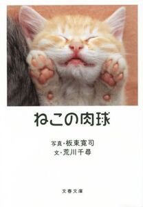 ねこの肉球 文春文庫/荒川千尋(著者),板東寛司