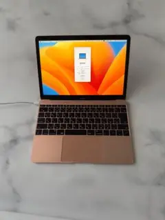 MacBook 12インチ2017 RAM 8GB/SSD 512GB/i5