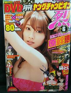 月刊ヤングチャンピオン烈 2011年No.6 原幹恵 次原かな 吉木りさ 愛衣 木嶋のりこ 小倉奈々 吉沢明歩 Rio DVD付き