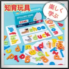 知育玩具✨モンテッソーリ 英語 木製玩具 療育 保育園 幼稚園 小学生 幼児