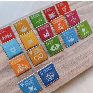 【数量限定】17種フルセット　SDGs スクエアピンバッジ 【国連本部入手品】