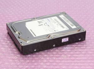 SAMSUNG HD103SI 1TB/SATA300