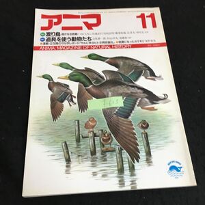 f-625 アニマ 11月号/No.167 特集渡り鳥 株式会社平凡社 1986年発行※13