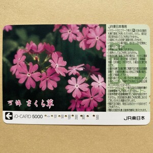 【使用済】 花イオカード JR東日本 可憐 さくら草