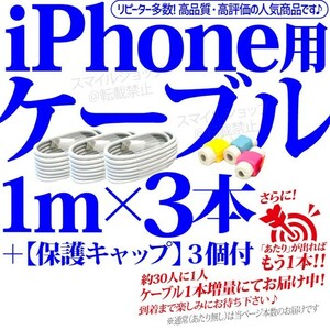 iPhone 充電器 ライトニングケーブル 3本 1m 純正品質 アップル Apple製品用 USB充電ケーブル おまけ付き TypeA タイプA 人気 アイフォン用