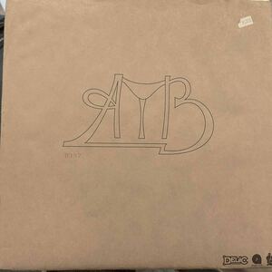 ■ AYB (ABNORMAL YELLOW BAND) / AYB IS BACK ほかプレイ向けブレイクビーツ音源多数！■盤質良好■ナンバリング入り初回限定カバー付き。