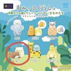 市原ぞうの国　すみっコぐらし　ねこ