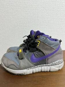 NIKE エアトレーナー　25cm 中古　送料込