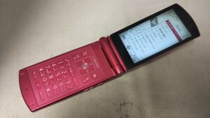 D5031 docomo FOMA F-07B FUJITSU 富士通/ガラケー/ケータイ 折畳式 簡易動作確認＆簡易清掃＆初期化OK 判定○ 現状品 送料無料　