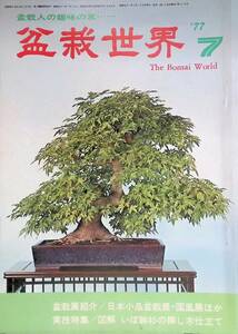 盆栽世界　1977年7月号　昭和52年　図解　いぼ幹杉の挿し木仕立て 　樹石社　YB230712S1