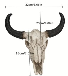 スカルホーン　バッファローの頭蓋骨　壁掛け、置物にカッコいいです！　　ネイティブ系、ウェスタン、インディアン系のインテリアに最強！