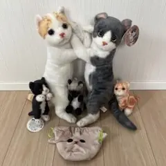 猫ちゃん　ぬいぐるみセット　巾着