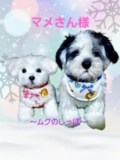 犬服★わんこ服★ハンドメイド★バックオープンタンク