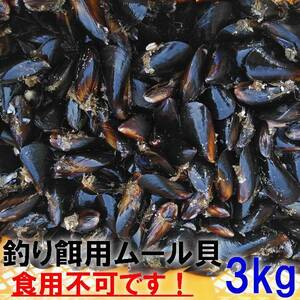 釣り餌に ムール貝３ｋｇ３キロ イガイ カラス貝 ムール貝 釣りエサ クロダイ 黒鯛 チヌ 石鯛 コブダイ カワハギ釣りに 冷凍餌 冷凍エサ★