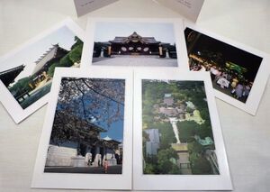 ●未使用●【靖国神社 絵葉書5枚セット】九段 えはがき 本殿 みたままつり 遊就館 拝殿 境内写真 古書籍紙資料 昭和平成 日本おみやげ 土産