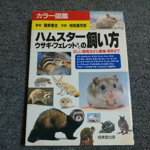 ハムスター・ウサギ・フェレットなどの飼い方　正しい飼育法から繁殖・病気まで　カラー図鑑 （カラー図鑑） 霍野晋吉／著