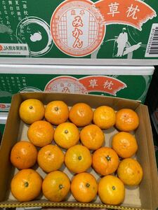 21.高級みかん草枕みかん秀品コンパクト箱込み約1.2kg