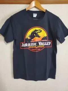 Tシャツ PORT&COMPANY JURASSIC VALLEY