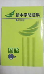 新中学問題集 発展編＊国語・１年 中１＊学校 塾専用教材／教育開発出版（Ｋｅｙワーク）＊非売品＊中学１年＊書き込み少なし