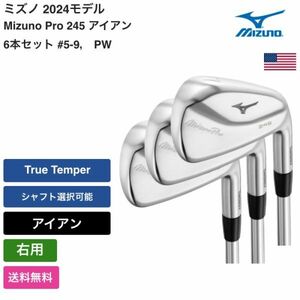 ★新品★送料無料★ ミズノ Mizuno Mizuno Pro 245 アイアン 6本セット #5-9， PW 右用 True Temper