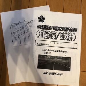 T選抜対策　国語　文法　解答解説付き　早稲田アカデミー　オリジナル　塾専用教材　書き込みあり　799