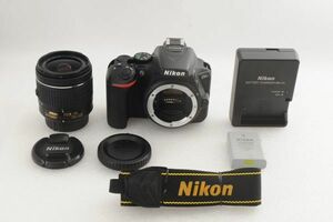 [美品] Nikon ニコン D5600 + AF-P 18-55mm VR レンズ #1590AB