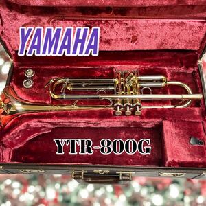 YAMAHA ヤマハ　YTR-800G カスタムモデル トランペット