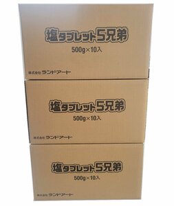 2024年最新入荷 ３ケース爆買い応援セール ランドアート 塩タブレット5兄弟（500g x 30袋） 塩飴 熱中症対策 塩分補給3ケース