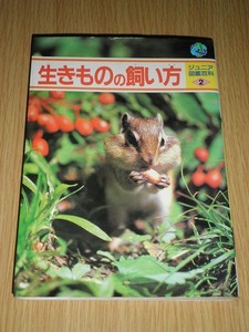 生きものの飼い方 ジュニア図鑑百科2 初版 実業之日本社 古本