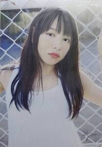 『作品3966』S.Tomo氏直筆色鉛筆画 超美品 美人画 新品額装