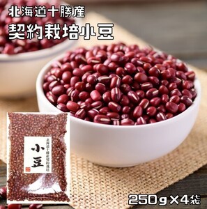 小豆 1kg 豆力 契約栽培 北海道 十勝産 国産 国内産 徳用 乾燥小豆 あずき あづき 北海道産 豆 乾燥豆 豆類