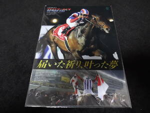 JRA ヒーロー列伝No.71 ヴィクトワールピサ クリアファイル 新品未開封 2015年来場ポイント