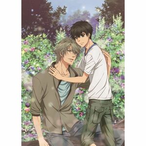 SUPER LOVERS 2第3巻限定版 DVD