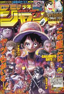 2025 週刊少年ジャンプ 6,7合併号 1月4日発売 表紙 ONE PIECE