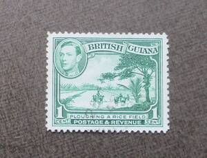 BRITISH GUIANA　　SCカタログ＃230　　1c　　使用済　　中古品