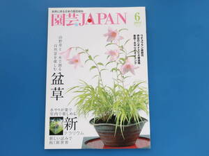 園芸JAPAN 2019年6月号/特集:山野草と木で創る自然景を楽しむ盆草/新テラリウム室内新しい試みで拓く新世界/ウチョウラン/ニオイエビネ春蘭