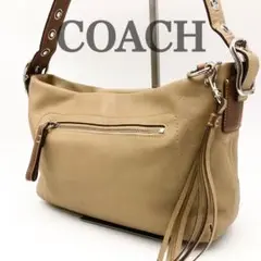 コーチ　COACH ショルダーバッグ　アクセサリーポーチ　フリンジ　オールレザー