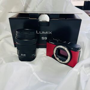 【限定カラー】LUMIX S9 レンズキット フルサイズセンサー