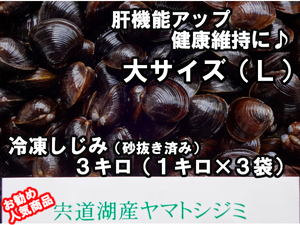 ☆贈答品にも レシピ付き　即決　大人気　島根県宍道湖産　大和しじみ（砂抜き済み）　Ｌ　３キロ（１キロ×３袋）　　生冷凍