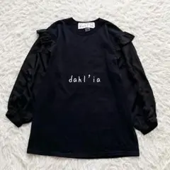 【美品✨】dahl