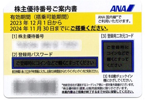 2枚セット　ANA 株主優待 (有効期間 ～2024年11月30日)