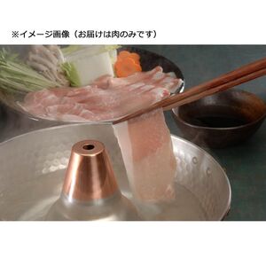 〔グルメギフト〕長野 信州オレイン豚 しゃぶしゃぶ用 ロース500g