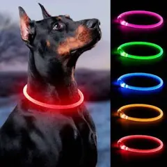 犬首輪 犬光る首輪 犬LED首輪 LED発光首輪 USB充電式 レッド