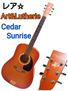 レア☆カナダ産★ 専用ケース付属 Art&Lutherie アコーステックギター