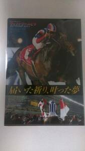 JRA ヴィクトワールピサ クリアファイル ヒーロー列伝 競馬