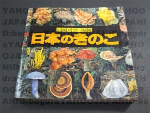 山渓カラー名鑑 日本のきのこ 945種 収録 即決 送料無料